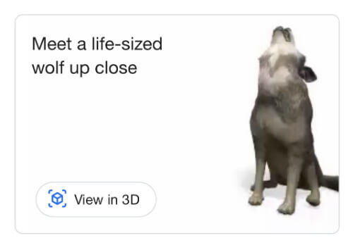 How To Use Google S 3d Animals In Augmented Reality