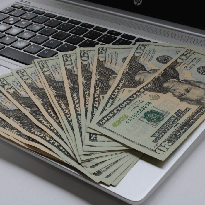 How Much Money Can You Make With Online Surveys?